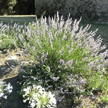 Tatil Evi Pavillon De Villefrancou *